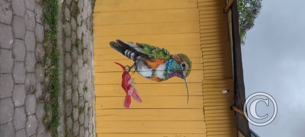 Mural on 9 de Octubre near Calle Sucre (3)