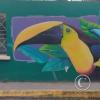 Mural on 9 de Octubre near Calle Sucre (4)