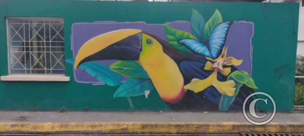 Mural on 9 de Octubre near Calle Sucre (4)