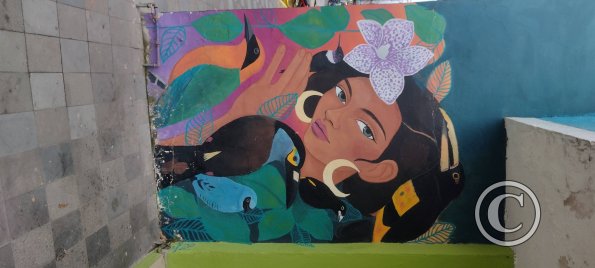 Mural on 9 de Octubre near Calle Sucre