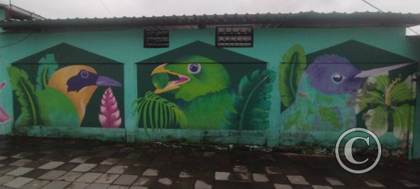 Mural on Av Quito near Vicente Aguirre (2)