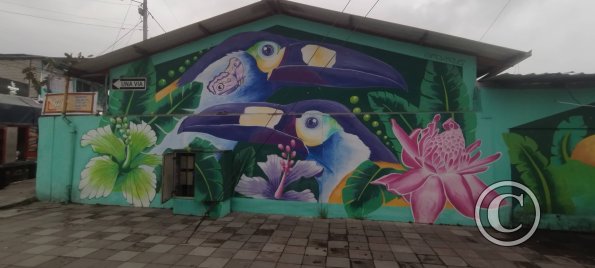 Mural on Av Quito near Vicente Aguirre