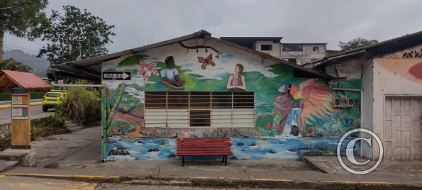 Mural on Calle Sucre near 9 de Octubre (2)