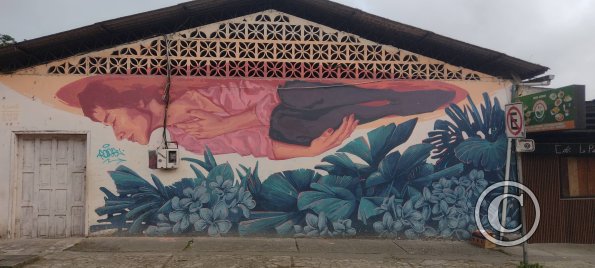 Mural on Calle Sucre near 9 de Octubre