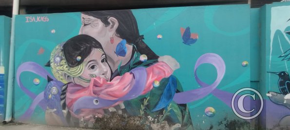 Mural on Sixto Duran Ballen near Av Quito (2)