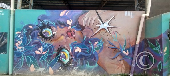 Mural on Sixto Duran Ballen near Av Quito (4)