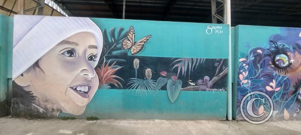 Mural on Sixto Duran Ballen near Av Quito (5)