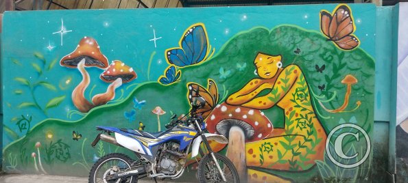 Mural on Sixto Duran Ballen near Av Quito (6)