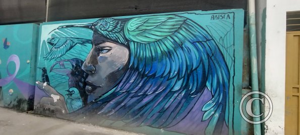 Mural on Sixto Duran Ballen near Av Quito