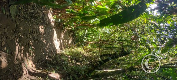 Punto Ornitologico trail (11)