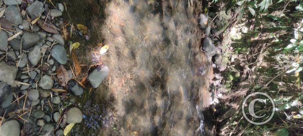 Punto Ornitologico trail (4)