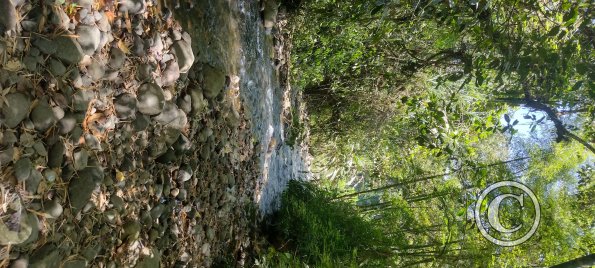Punto Ornitologico trail (5)