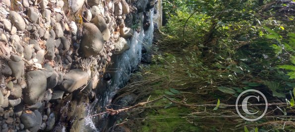 Punto Ornitologico trail (6)