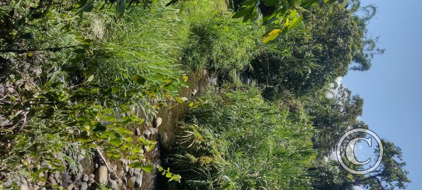 Punto Ornitologico trail (7)