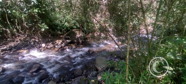 Punto Ornitologico trail (8)