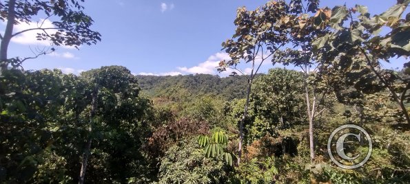 Punto Ornitologico trail (9)