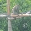 IMG_20230913_150034861