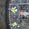 Gruta de Sacavon at Luis de la Torre below El Colibre (5)
