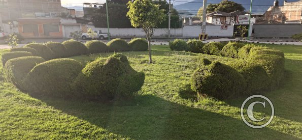 Parque Linea
