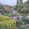Parque Simon Bolivar (10)