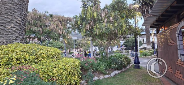 Parque Simon Bolivar (10)