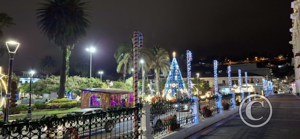 Parque Simon Bolivar (16)