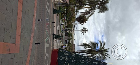 Parque Simon Bolivar (2)