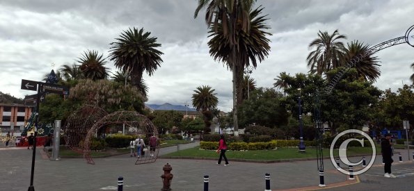 Parque Simon Bolivar (4)