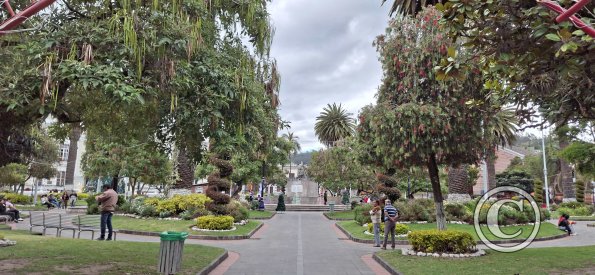 Parque Simon Bolivar (5)