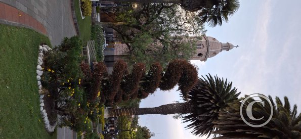 Parque Simon Bolivar (9)