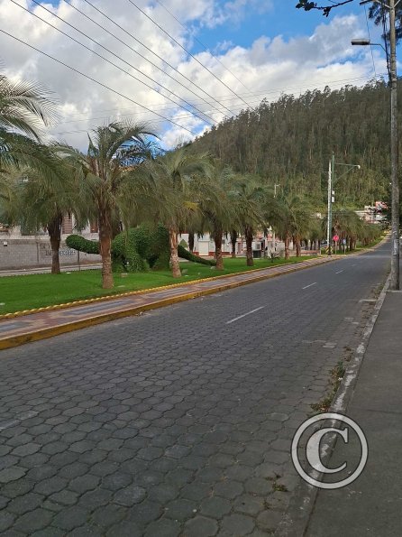 Parque de los Dinosaurios (5)