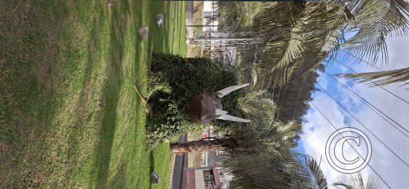 Parque de los Dinosaurios (9)