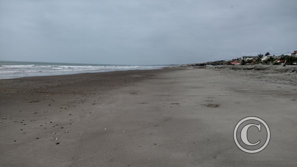 IMG_20221128_145444760_HDR