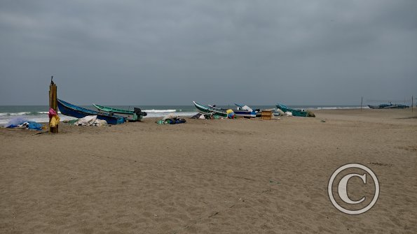 IMG_20221129_103223450_HDR