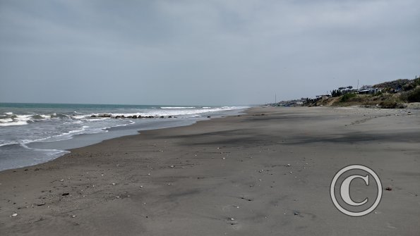 IMG_20221129_104824970_HDR