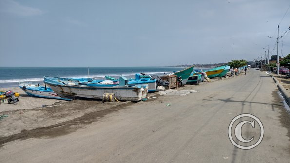 IMG_20221129_111811609_HDR