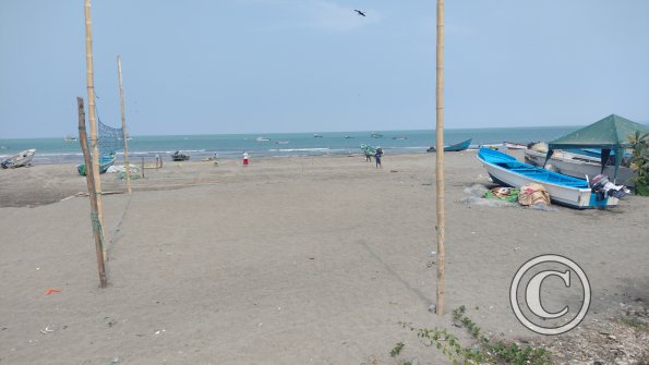 IMG_20221129_111956120