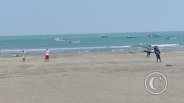 IMG_20221129_112004024