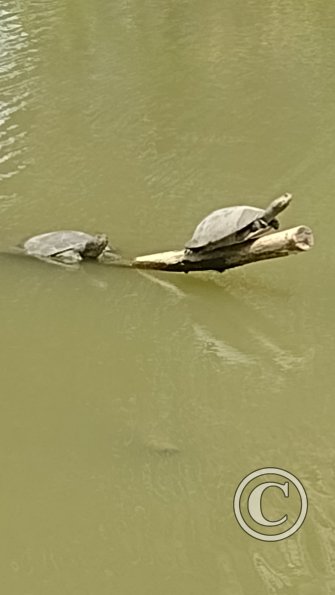 IMG_20221208_122638103