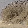 IMG_20221218_142100601