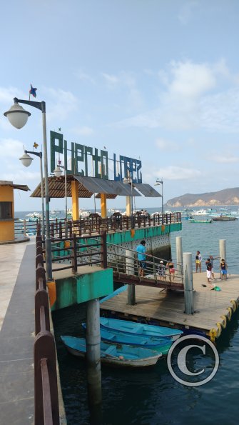 IMG_20221218_152055349