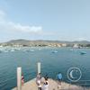 IMG_20221218_152208586