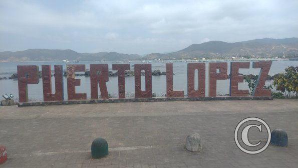IMG_20221219_122541248