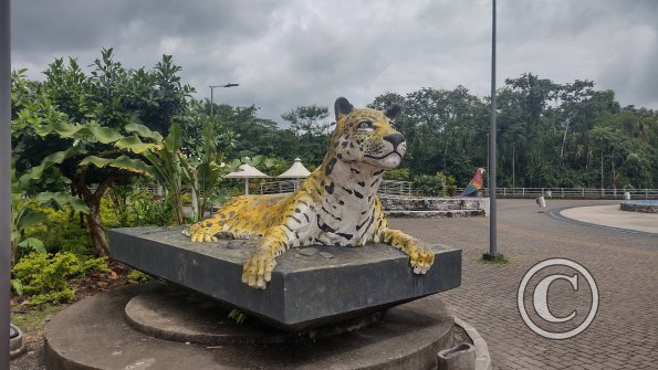 Malecon (20)