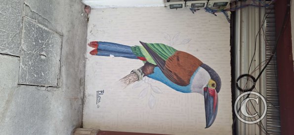 Mural at Chimborazo and Guaranda