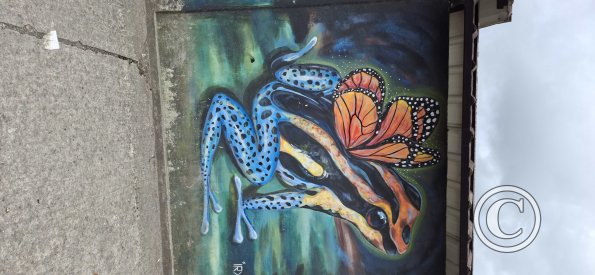Mural on Av Alberto Zambrano at 9 de Octubre (2)
