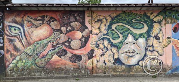 Mural on Av Alberto Zambrano at 9 de Octubre (4)