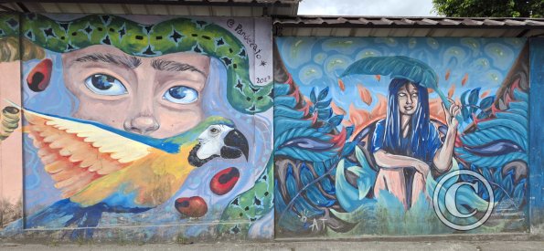 Mural on Av Alberto Zambrano at 9 de Octubre (5)