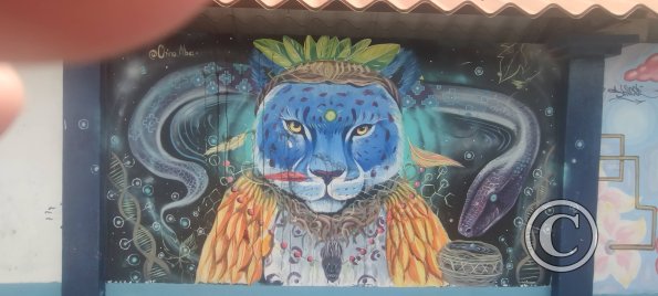Mural on Av Francisco de Orellana near C. Bolivar (10)