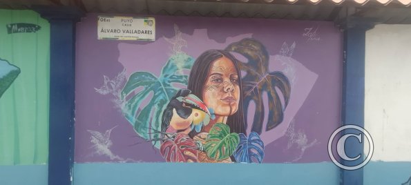 Mural on Av Francisco de Orellana near C. Bolivar (11)